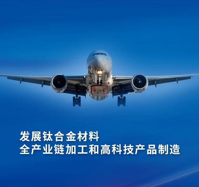 钛铸锭
